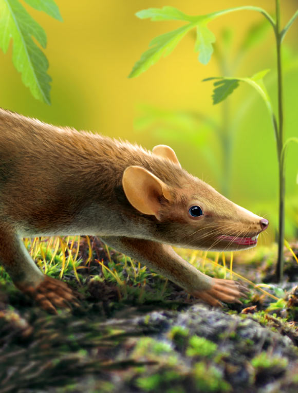 Life reconstruction of Spinolestes xenarthrosus. Image credit: Oscar Sanisidro.