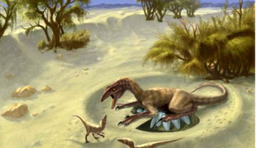 Paleontologists used a novel technique to find out dinosaurs’ body temperatures based on their eggshells. Image credit: Gerald Grenet-Tinnes.