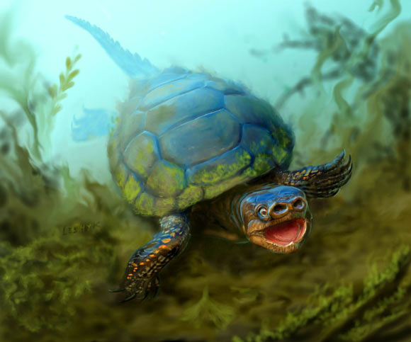 Arvinachelys goldeni had a weird pig-like snout and lived in the shadows of Cretaceous dinosaurs. Image credit: Victor Leshyk. 
