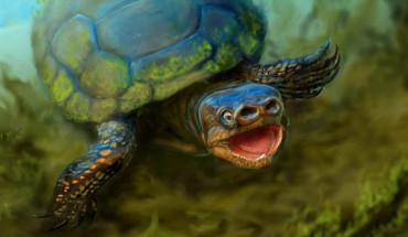 Arvinachelys goldeni had a weird pig-like snout and lived in the shadows of Cretaceous dinosaurs. Image credit: Victor Leshyk.