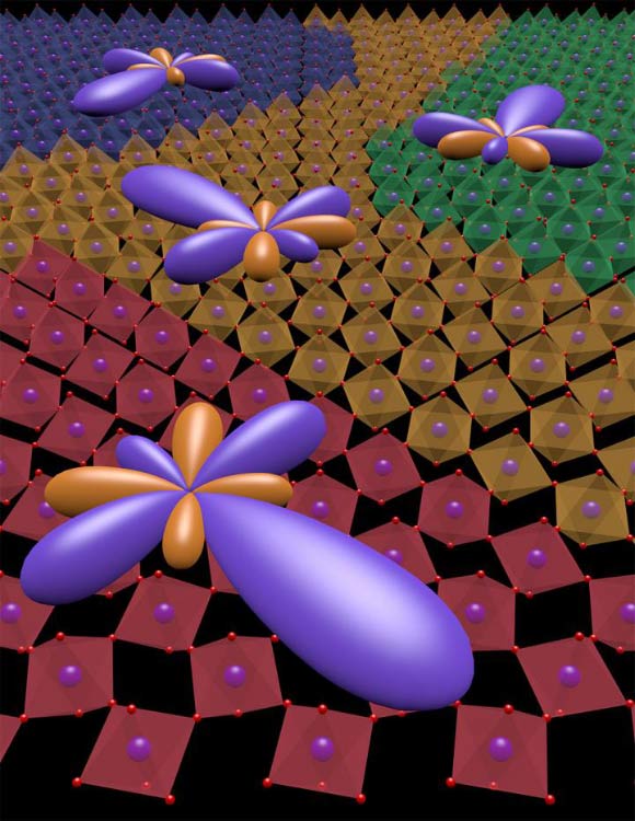 Artist’s rendition of spatially segregated domains of multipolar order in a crystal of strontium-iridium oxide (Sr2IrO4); the orientation of the multipolar order in each domain is depicted by the multi-lobed object. Image credit: Liuyan Zhao.
