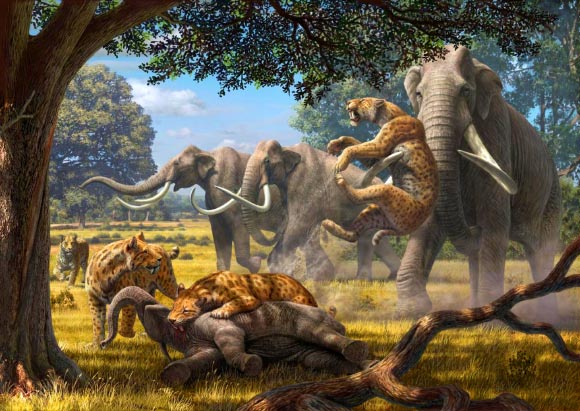 A pack of saber-tooth cats (Smilodon) fight with adult Colombian mammoths over a juvenile mammoth they’ve felled. Image credit: Mauricio Anton.