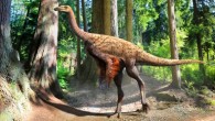 Reconstruction of Ornithomimus showing a plumage pattern that is consistent with previously described feathered specimens from Alberta, as well as with modern ratite birds, collectively suggesting a thermoregulatory role in all cases. Image credit: Julius Csotonyi.
