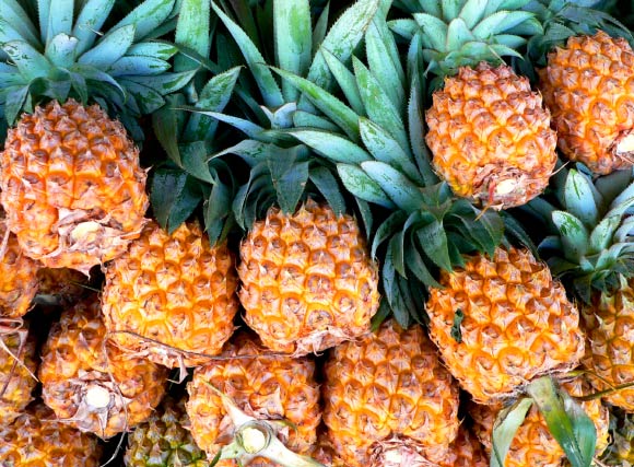 Pineapple (Ananas comosus), on sale on Reunion Island. Image credit: David Monniaux / CC BY-SA 3.0.