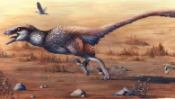 Life restoration of Dakotaraptor steini running with the sparrow-sized birds Cimolopteryx petra, while the mammal Purgatorius can be seen in the foreground. Image credit: Emily Willoughby.