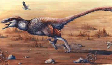 Life restoration of Dakotaraptor steini running with the sparrow-sized birds Cimolopteryx petra, while the mammal Purgatorius can be seen in the foreground. Image credit: Emily Willoughby.