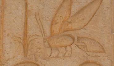 Part of the name of pharaoh Thutmose II. Image credit: Przemyslaw ‘Blueshade’ Idzkiewicz.