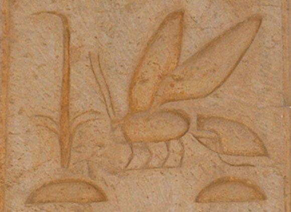 Part of the name of pharaoh Thutmose II. Image credit: Przemyslaw ‘Blueshade’ Idzkiewicz.