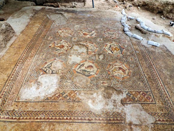 1,700-year-old mosaic unearthed in the Neve Yerek neighborhood of Lod, Israel. Image credit: Assaf Peretz / Israel Antiquities Authority.