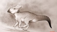 The Black Creek horned dinosaur was about the size of a large dog. Image credit: Nicholas Longrich / University of Bath.
