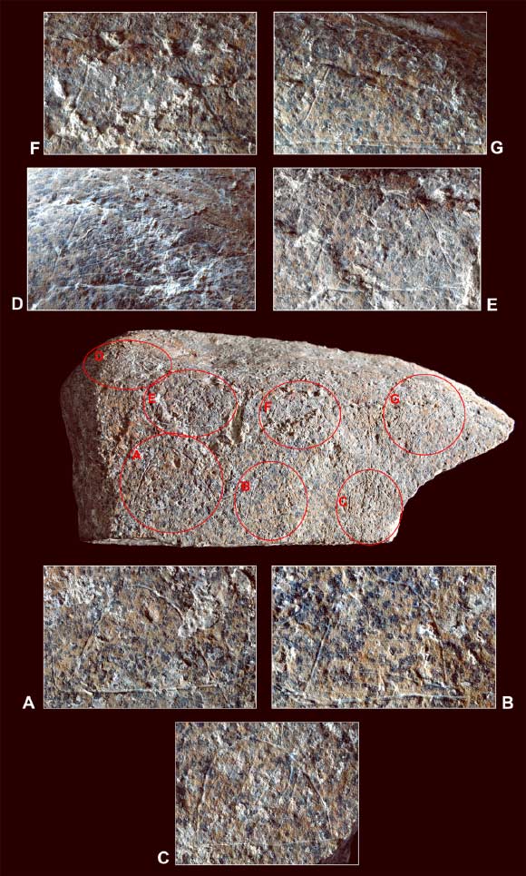 Photograph of the engraved side with close-ups of the seven semicircular motifs. Image credit: Manuel Vaquero / Marcos Garcia-Diez.