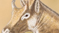 Life reconstruction of the head of Xenokeryx amidalae; adult male based on the fossils from La Retama. Image credit: Israel Sánchez.