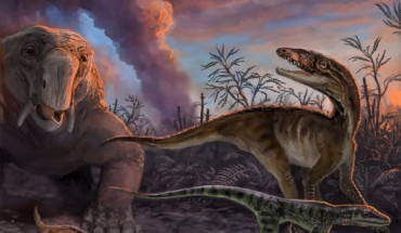 Triassic creatures escaping from an erupting volcano 235 million years ago in northwestern Argentina. These species, found as fossils in the Chañares Formation, include early mammal relatives - (the dicynodont Dinodontosaurus in the left background, and the cynodont Massetognathus in the left foreground) and early dinosaur relatives (Lewisuchus in the right background, and Lagerpeton in the right foreground). Image credit: Victor Leshyk.