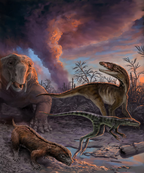 Triassic creatures escaping from an erupting volcano 235 million years ago in northwestern Argentina. These species, found as fossils in the Chañares Formation, include early mammal relatives - (the dicynodont Dinodontosaurus in the left background, and the cynodont Massetognathus in the left foreground) and early dinosaur relatives (Lewisuchus in the right background, and Lagerpeton in the right foreground). Image credit: Victor Leshyk.