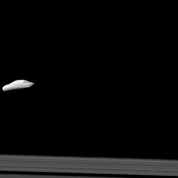 Cassini captured this view of Atlas on December 6, 2015. The view looks toward the anti-Saturn side of Atlas. North on Atlas is up. The outer A ring is seen at the bottom of this view. Image credit: NASA / JPL-Caltech / Space Science Institute.