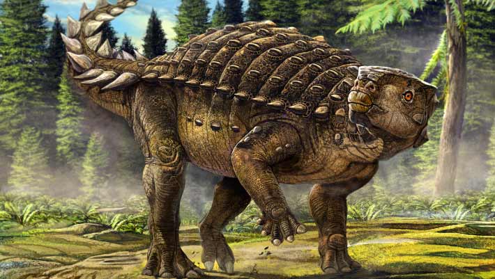 Kunbarrasaurus ieversi: New Armored Dinosaur Species Discovered ...
