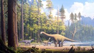 University of Copenhagen researcher Christoph Korte and his colleagues have shed light on the causes behind an ‘Ice Age’ that took place on our planet 174 million years ago. Image credit: Gerhard Boeggemann / CC BY-SA 2.5.