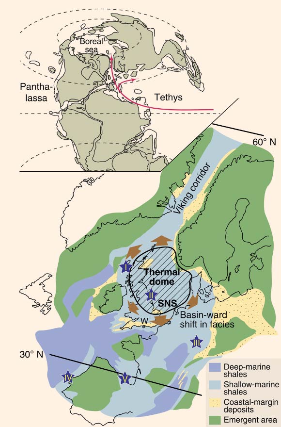 Upper image: map shows the connection between the equatorial Tethys Ocean and the Boreal Sea via the Laurasian Seaway; the latter including the Viking Corridor which was several hundred miles wide. Red arrows mark generalized paleocurrents. Bottom image: detail of Laurasian Seaway paleogeography with the region affected by North Sea Dome as determined by the generalized outer limit of the Toarcian subcrop. Brown arrows represent the siliciclastic sediment supply/transport in relation to domal uplift. Sample locations are numbered and identified by stars (Hebrides Basin (I; Scotland), Cleveland Basin (II; England), Swabo-Franconian Basin (III; Germany) and Lusitanian (IV; Portugal)/Basque-Cantabrian basins (V; Spain)). SNS, Southern North Sea Basin, W, Wessex Basin. Image credit: Korte, C. et al.