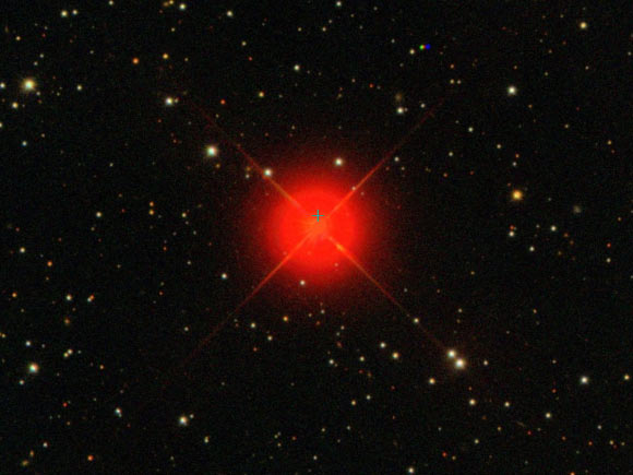 Wolf 1061 (red star). Image credit: SDSS / Centre de Données astronomiques de Strasbourg / SIMBAD.