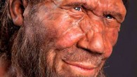 Neanderthal. Image credit: Trustees of the Natural History Museum, London.