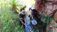 Researchers conducting fieldwork in the Kimberley. Image credit: University of Melbourne.