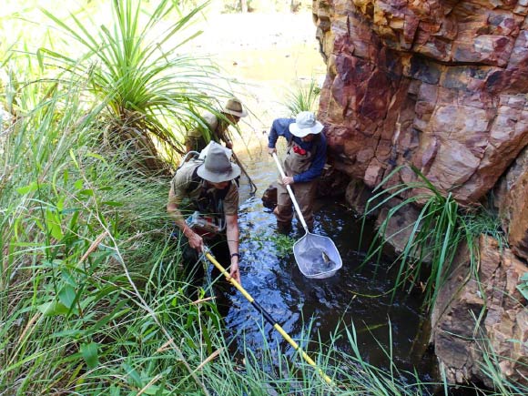 Researchers conducting fieldwork in the Kimberley. Image credit: University of Melbourne.