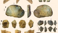 Finds from Talepu excavations: flakes (a-f, j-m), cores (g, h, i). All artifacts shown are silicified limestone. Scale bars -10 mm (a-i), 20 mm (j-m). Image credit: Gerrit D. van den Bergh et al.