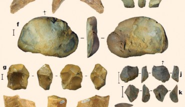 Finds from Talepu excavations: flakes (a-f, j-m), cores (g, h, i). All artifacts shown are silicified limestone. Scale bars -10 mm (a-i), 20 mm (j-m). Image credit: Gerrit D. van den Bergh et al.