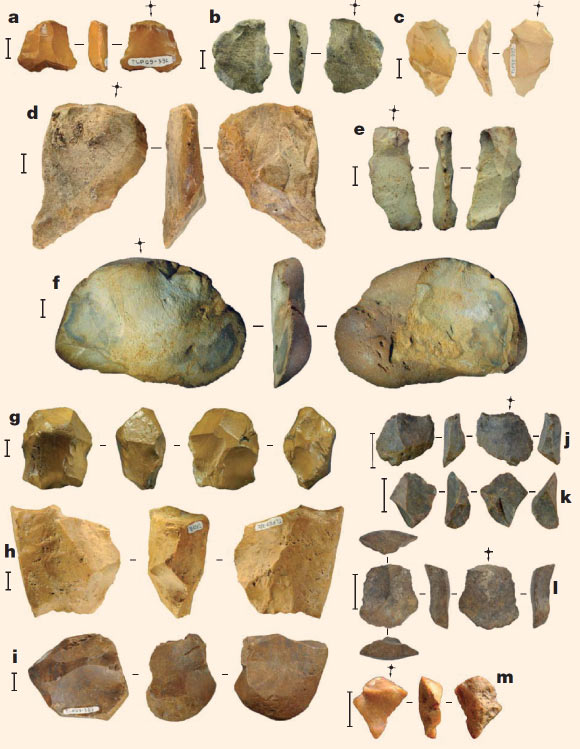 Finds from Talepu excavations: flakes (a-f, j-m), cores (g, h, i). All artifacts shown are silicified limestone. Scale bars -10 mm (a-i), 20 mm (j-m). Image credit: Gerrit D. van den Bergh et al.