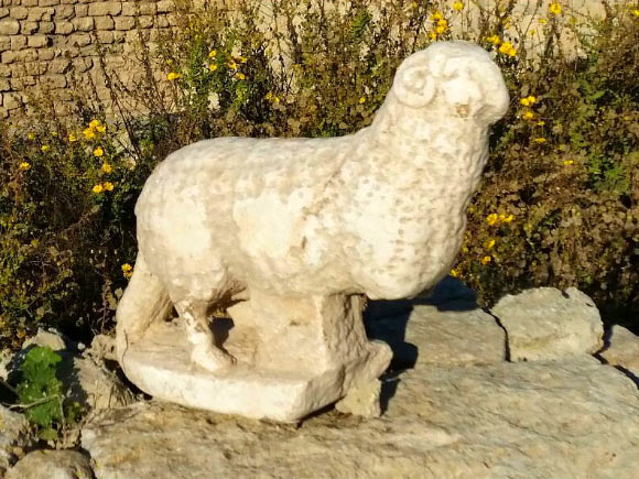 The marble ram unearthed in Caesarea, Israel. Image credit: Vered Sarig / Caesarea Development Corporation.