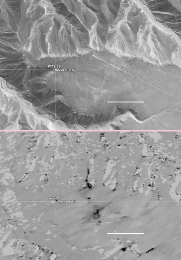The hummingbird glyph and its surroundings in the Nasca site as seen by standard photography, top, and by NASA’s UAVSAR radar. Dark areas in the UAVSAR image are where the site has been disturbed. Image credit: Google, Digital Globe / NASA / JPL-Caltech.