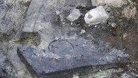 Archaeologists discovered the remains of a large-scale storage for fermented fish dating back to 7,200 BC: a view of the gutter after 50 percent of it had been removed; notice the stark contrast with the surrounding clay under the gutter as well as between the stakeholes and the surrounding clay. Image credit: SHMM / Adam Boethius / Lund University.