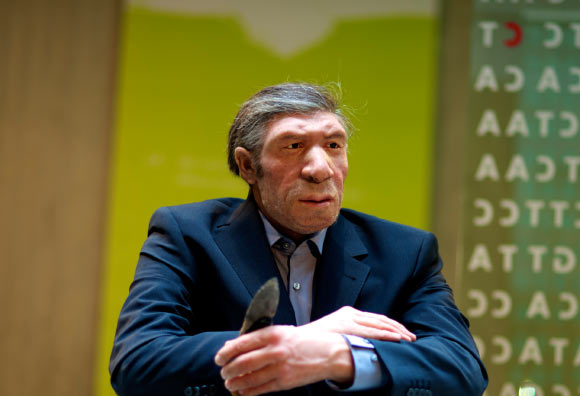 A model of a Neanderthal man. Image credit: H. Neumann / Neanderthal Museum.