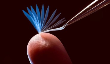 A time-lapse image of a previously deformed shape-memory network during recovery to its original shape upon contacting a finger in a room temperature environment. The image was obtained by periodic flash exposure over a time period of about 10 seconds. Image credit: J. Adam Fenster / University of Rochester.