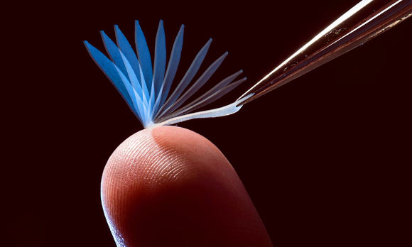 A time-lapse image of a previously deformed shape-memory network during recovery to its original shape upon contacting a finger in a room temperature environment. The image was obtained by periodic flash exposure over a time period of about 10 seconds. Image credit: J. Adam Fenster / University of Rochester.