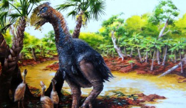 Gastornis lived on Ellesmere Island in the High Arctic about 53 million years ago. Image credit: Marlin Peterson.