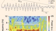 Top image: filtered signals recorded in the two brain regions identify the almost perfect synchronization between the two regions during the expression of fear memories. Bottom image: spectral decomposition of the brain signals allows researchers to identify the frequency and power of neuronal rhythmic oscillations during fear behavior. Image credit: Nikolaos Karalis et al.