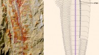 Complete specimen of Chengjiangocaris kunmingensis and morphological reconstruction. Image credit: Jie Yang, Yunnan University / Javier Ortega-Hernández, University of Cambridge.