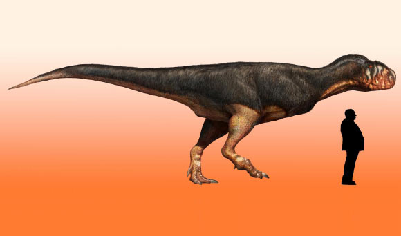 An artist’s drawing of the abelisaur. Image credit: Davide Bonadonna / Imperial College London.