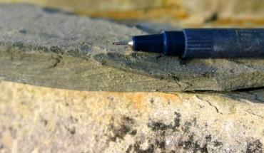Fossiliferous mudstone containing Tortotubus protuberans. Image credit: Martin R. Smith.