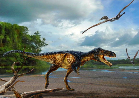 A reconstruction of Timurlengia euotica, named for the charismatic Central Asian ruler Tamerlane, shows the species’ long, slender legs, large head and teeth built sharp like a steak knife. Image credit: Todd Marshall.