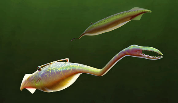 A reconstruction of Tullimonstrum gregarium as it would have looked 307 million years ago, swimming in the Carboniferous seas. Image credit: Sean McMahon / Yale University.