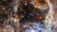 In this image, the NASA/ESA Hubble Space Telescope has captured the brilliance of R136, a young star cluster in 30 Doradus. The image is composed of observations from both Hubble’s Wide Field Camera 3 and Space Telescope Imaging Spectrograph. Image credit: NASA / ESA / Paul Crowther, University of Sheffield.