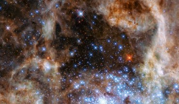 In this image, the NASA/ESA Hubble Space Telescope has captured the brilliance of R136, a young star cluster in 30 Doradus. The image is composed of observations from both Hubble’s Wide Field Camera 3 and Space Telescope Imaging Spectrograph. Image credit: NASA / ESA / Paul Crowther, University of Sheffield.