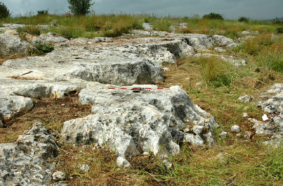 Kaizer Hilltop quarry: step-like morphology of the quarrying front on the rocks. Image credit: Gabi Laron.