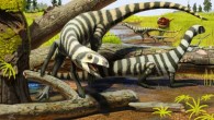 Asilisaurus kongwe: in this artist’s rendering, the reptile is shown as it would walk and move about; the stripes are artistic license, although the animal’s proto-feathers are likely. Image credit: Andrey Atuchin.
