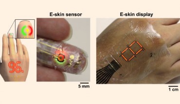 System outline of a blood oxygen level monitor: red and green PLEDs are directed to shine into the finger; reflected light from inside the finger is caught by an ultraflexible organic photodetector; this reflected light provides a measure of blood oxygen and pulse rate; the output of the sensor can be shown on a PLED display. Image credit: Tomoyuki Yokota et al. / Someya Laboratory, University of Tokyo.