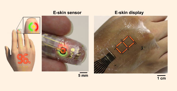 System outline of a blood oxygen level monitor: red and green PLEDs are directed to shine into the finger; reflected light from inside the finger is caught by an ultraflexible organic photodetector; this reflected light provides a measure of blood oxygen and pulse rate; the output of the sensor can be shown on a PLED display. Image credit: Tomoyuki Yokota et al. / Someya Laboratory, University of Tokyo.