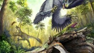 A number of bird-like dinosaurs reconstructed in their Cretaceous environment. Middle ground and background: two different dromaeosaurid species hunting vertebrate prey (a lizard and a toothed bird). Foreground: hypothetical toothless bird closely related to the earliest modern birds. Image credit: Danielle Dufault.