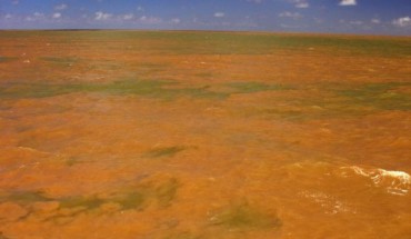 The Amazon River meets the Atlantic Ocean and creates a plume where freshwater and salt water mix. Image credit: Lance Willis.